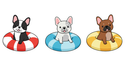 Three adorable french bulldogs enjoying a refreshing swim on colorful inflatable rings summer fun isolated on white background
