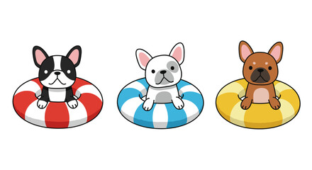 Adorable french bulldogs in colorful swim rings ready for summer fun and water activities isolated on white background