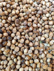 hazelnut placer, natural background of nuts