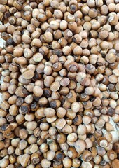 hazelnut placer, natural background of nuts