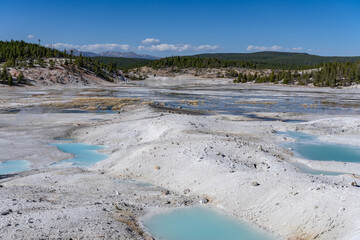Porcelain Basin subbasin of Norris Geyser Basin, Yellowstone National Park, Wyoming.  Norris is one of the hottest and most acidic of Yellowstone’s hydrothermal areas. hot springs and fumaroles.