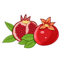 Pomegranate Fruit Cartoon Illustration