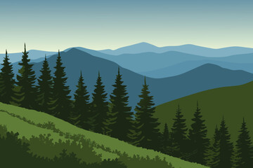 forest in the mountains