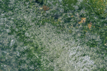 Porcelain Basin subbasin of Norris Geyser Basin, Yellowstone National Park, Wyoming.  Norris is one of the hottest and most acidic of Yellowstone’s hydrothermal areas. hot springs and fumaroles. 