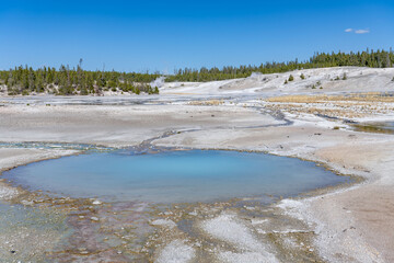 Porcelain Basin subbasin of Norris Geyser Basin, Yellowstone National Park, Wyoming.  Norris is one of the hottest and most acidic of Yellowstone’s hydrothermal areas. hot springs and fumaroles.