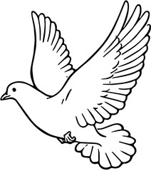 Bird dove free flying