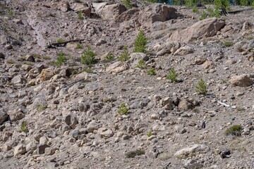 Gibbon Falls, Yellowstone National Park , Wyoming. Lava Creek Tuff of Yellowstone Group - Member A.  Detrital deposits