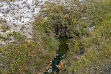 Terrace Spring Trail, Yellowstone National Park , Wyoming. Hydrothermal System. hot-spring deposits

