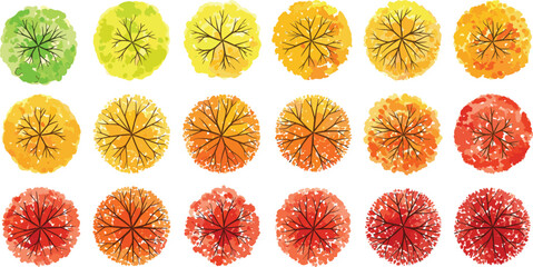 Top view autumn trees illustration, seasonal foliage design with green, yellow, orange, and red leaves, perfect for landscape, nature, decoration.