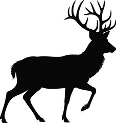 Elegant stag with large antlers a classic wildlife silhouette on transparent background