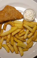 Deep fried food shown as a meal that looks tasty and appealing but is considered unhealthy, associated with oil, cholesterol, carcinogens, and health risks. Isolated close-up