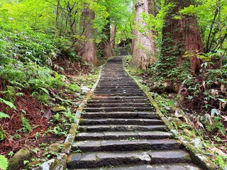 Moss-covered stone steps leading to a shrine surrounded by cedar trees on Mt Haguro, Yamagata, Japan