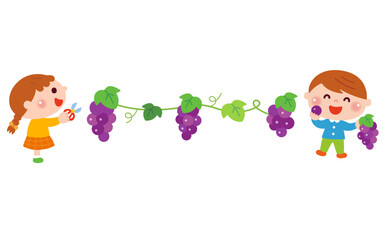 ぶどう狩りをするこどもたちのイラスト