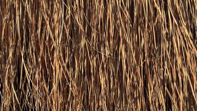 A full frame vertical texture of long, dry, brown grass or thatch creating a natural, abstract background with thin, parallel lines and warm earthy tones.