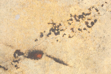 Abstract texture in the grunge floor.