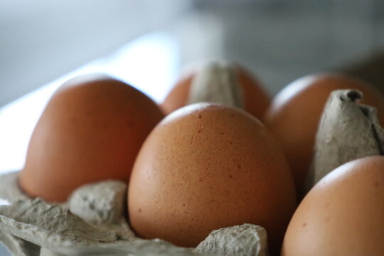 Fresh Brown Eggs in Carton Close-Up Detail