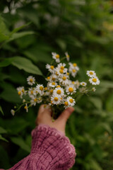 Woman holding chamomile flowers with closed eyes outdoors