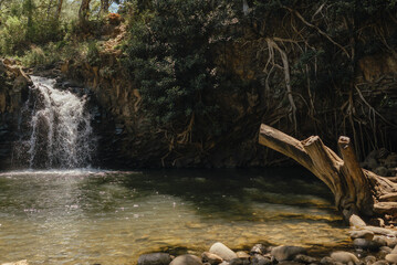 Secluded Maui waterfall pours into quiet, sunlit forest pool