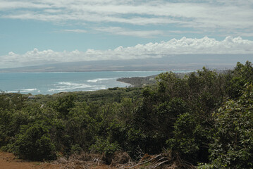 Obraz premium Lush coastline and ocean view from elevated forested area in Maui