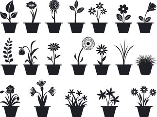 Set of flowers in pot illustrated on white

