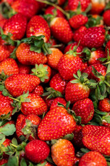 Fresh Red Strawberries Close-Up