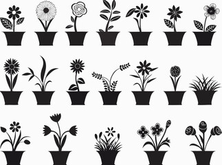 Set of flowers in pot illustrated on white

