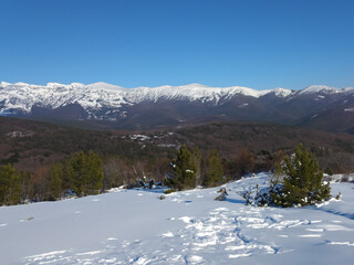 amazing winter landscape view