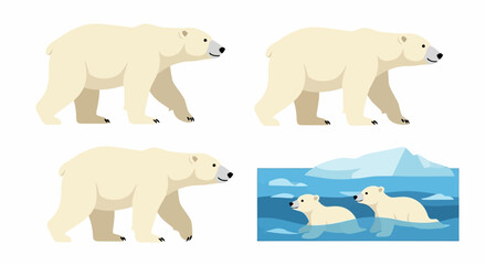 Four polar bear illustrations show them walking wading and cubs swimming in icy water