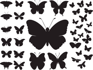 Butterflies set illustrated on white

