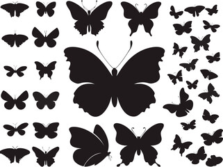 Butterflies set illustrated on white

