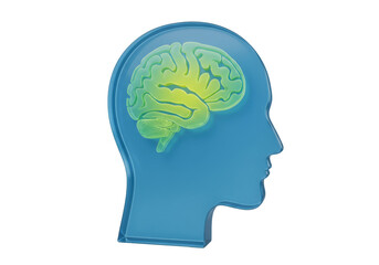 Obraz premium Human head with brain inside isolated on transparent PNG, mental health concept for medical and educational use, blue and green colors