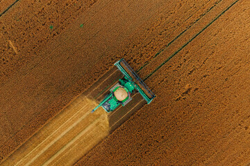 A green combine harvester works through a golden brown field, leaving parallel tracks. The harvested and uncut crops form a distinct visual division.