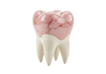 Molar tooth with pink marble texture isolated on transparent background, dental health concept in PNG format