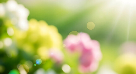 Obraz premium Abstract floral background with soft focus and bright light