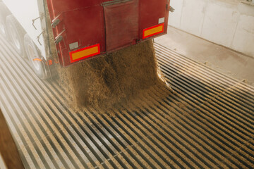 A red truck releases grain onto a grated platform in an indoor facility with concrete walls, highlighting industrial processing and storage operations.