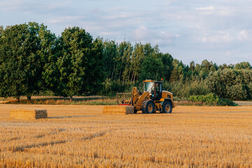 A yellow tractor lifts a rectangular hay bale in a harvested field. The field is bordered by tall green trees and dense vegetation under a partly cloudy sky.