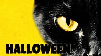 Mysterious Black Cat with Yellow Eye and Halloween Theme Background