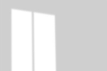 shadow and light on a transparent background, creating a minimalist and modern aesthetic, perfect for design and branding