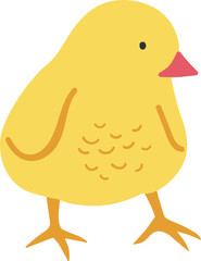 Yellow chick with orange beak and feet walking right