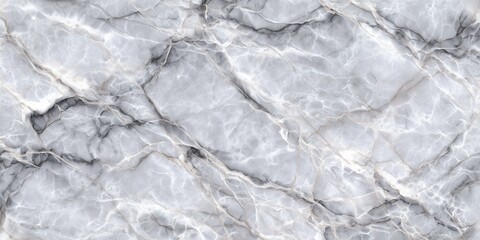 Obraz premium Abstract background featuring a gray marble stone texture with intricate dark veins, concept for luxury interiors, elegant backgrounds and sophisticated architectural renderings
