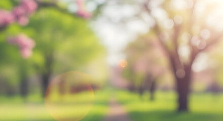 Blurry park scene with trees and sunlight background