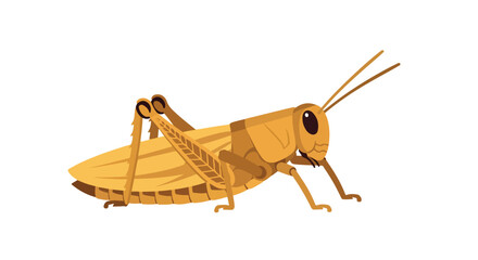 Illustrative depiction of a brownish-yellow grasshopper presented in a simple and graphic style against a bright backdrop isolated complete