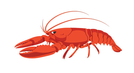 Illustration of a scarlet lobster with detailed exoskeleton and elongated antennae against a white background
