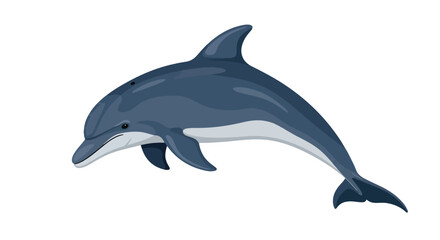 Illustration of a playful dolphin, swimming gracefully through the ocean isolated on a white backdrop