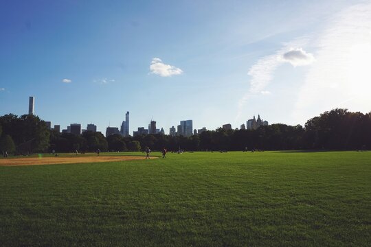 the great lawn at Central Park on a sunny day