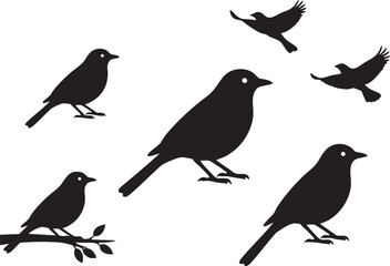 Bird Silhouettes Set on White Background