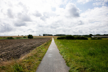 Fototapeta premium Rural cycle path through the forests and landscapes of southern Denmark