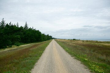 Rural cycle path through the forests and landscapes of southern Denmark