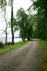 Rural cycle path through the forests and landscapes of southern Denmark