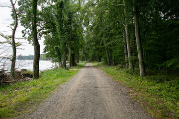 Rural cycle path through the forests and landscapes of southern Denmark